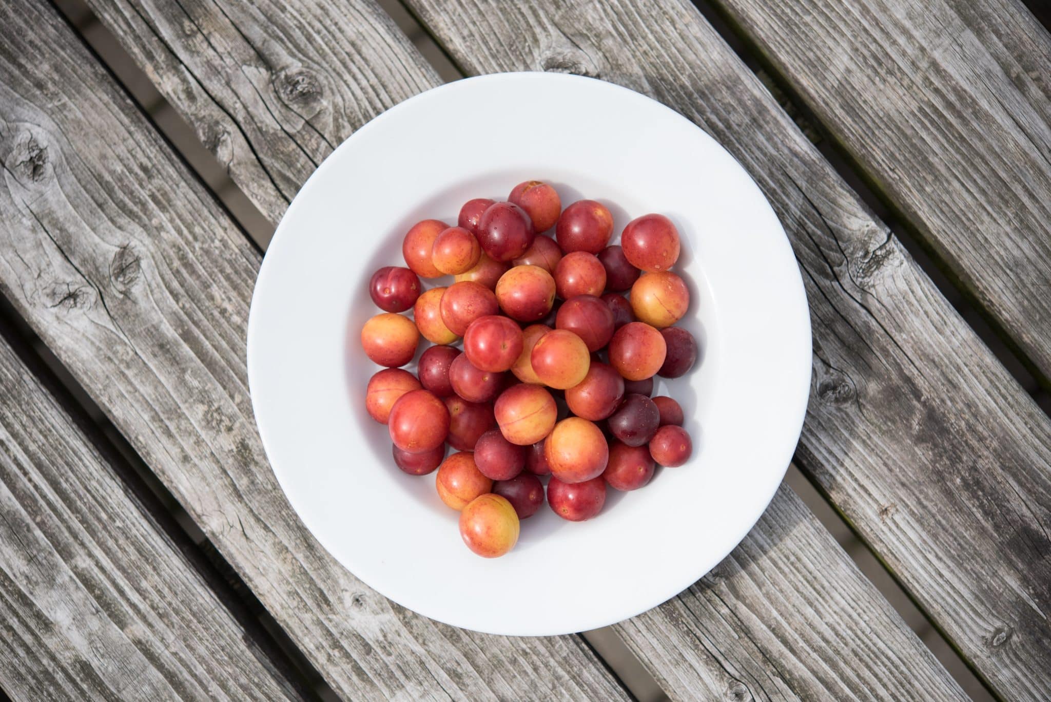 Pourquoi la mirabelle est-elle la variété de prunes préférée des français ?