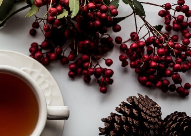 Quels fruits manger pour Noël ?