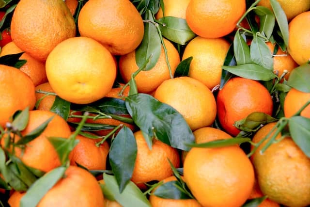 Quelle est la différence entre une clémentine et un mandarine ?