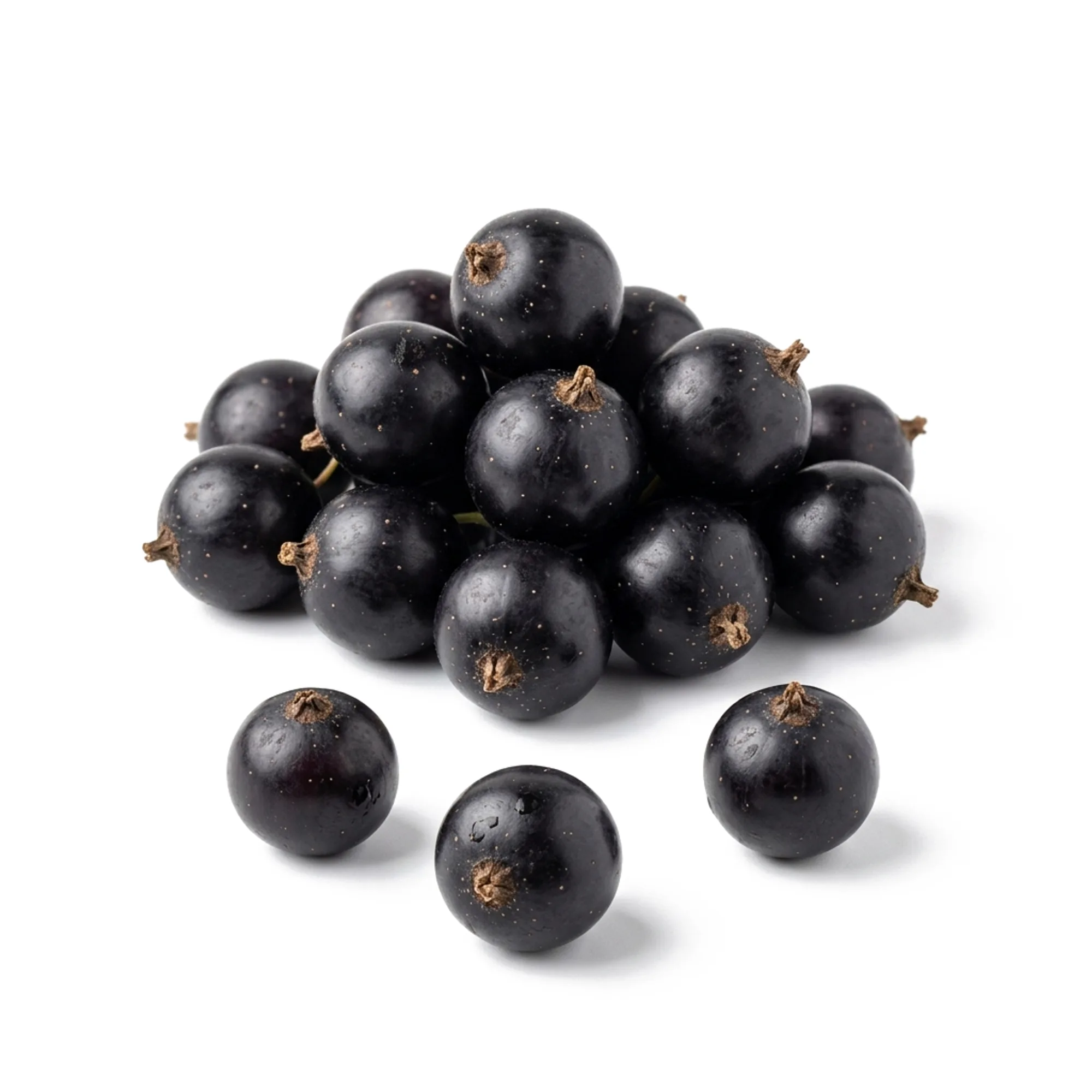 Cassis entier et coupé sur fond blanc