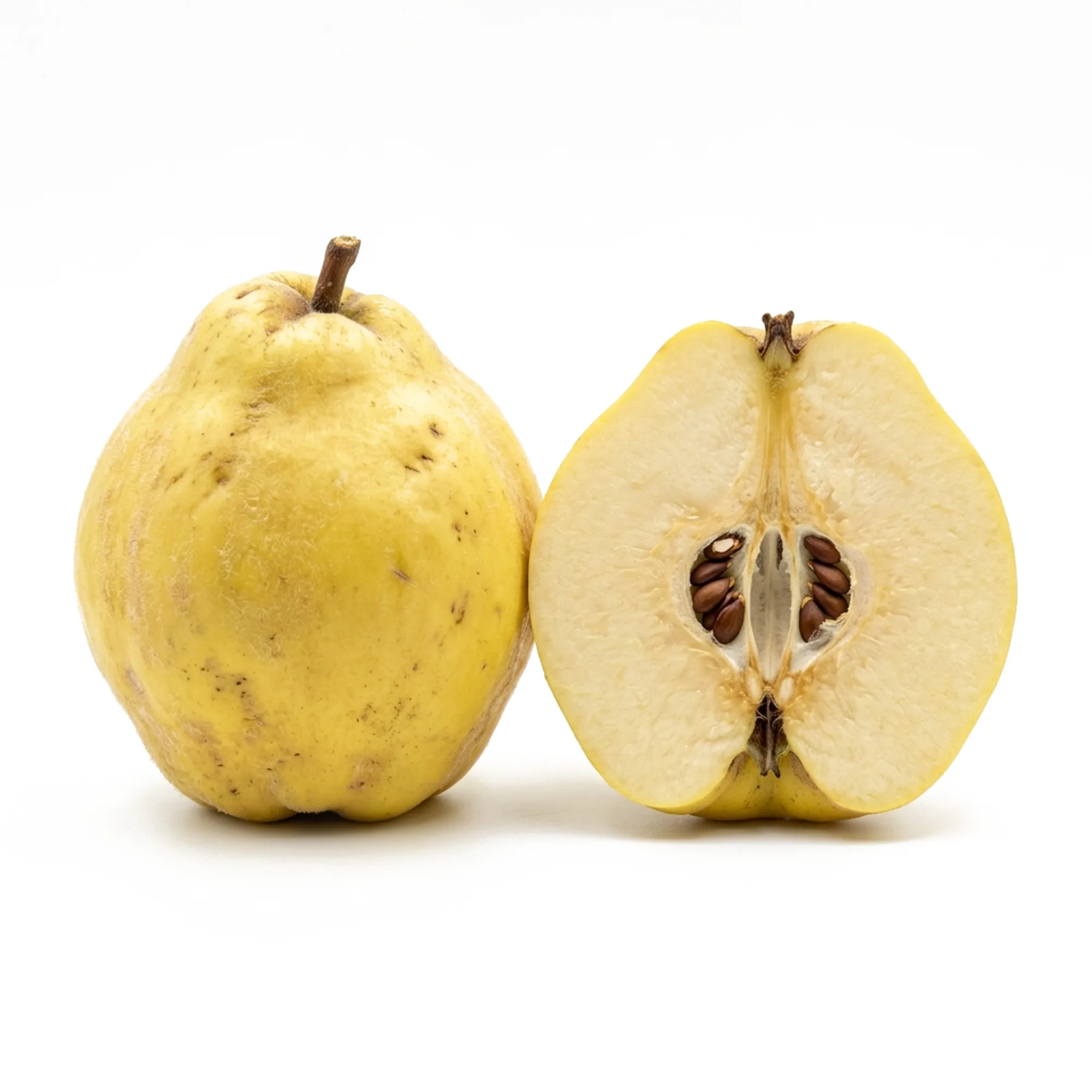 Coing entier et coupé sur fond blanc