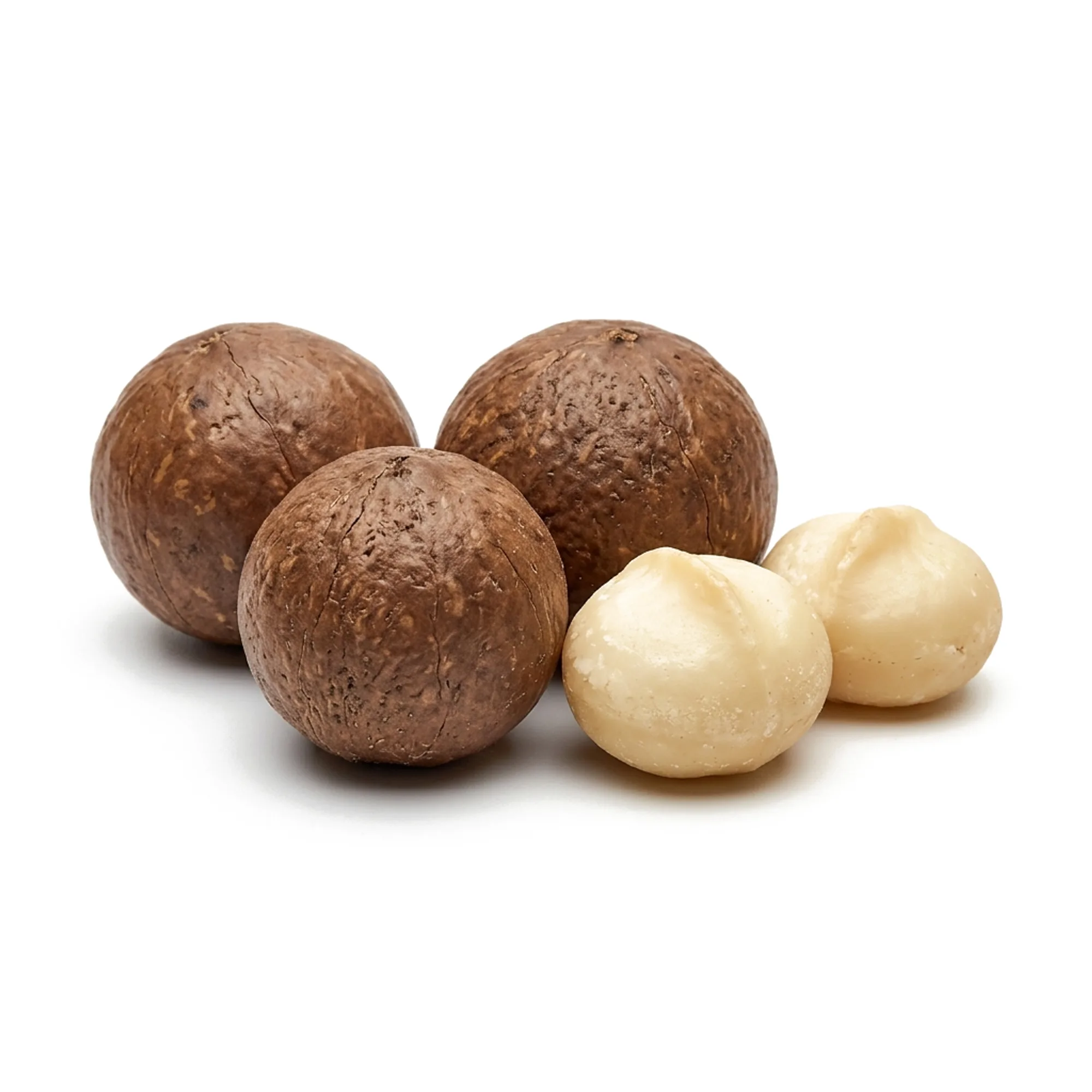 Noix de macadamia entier et coupé sur fond blanc