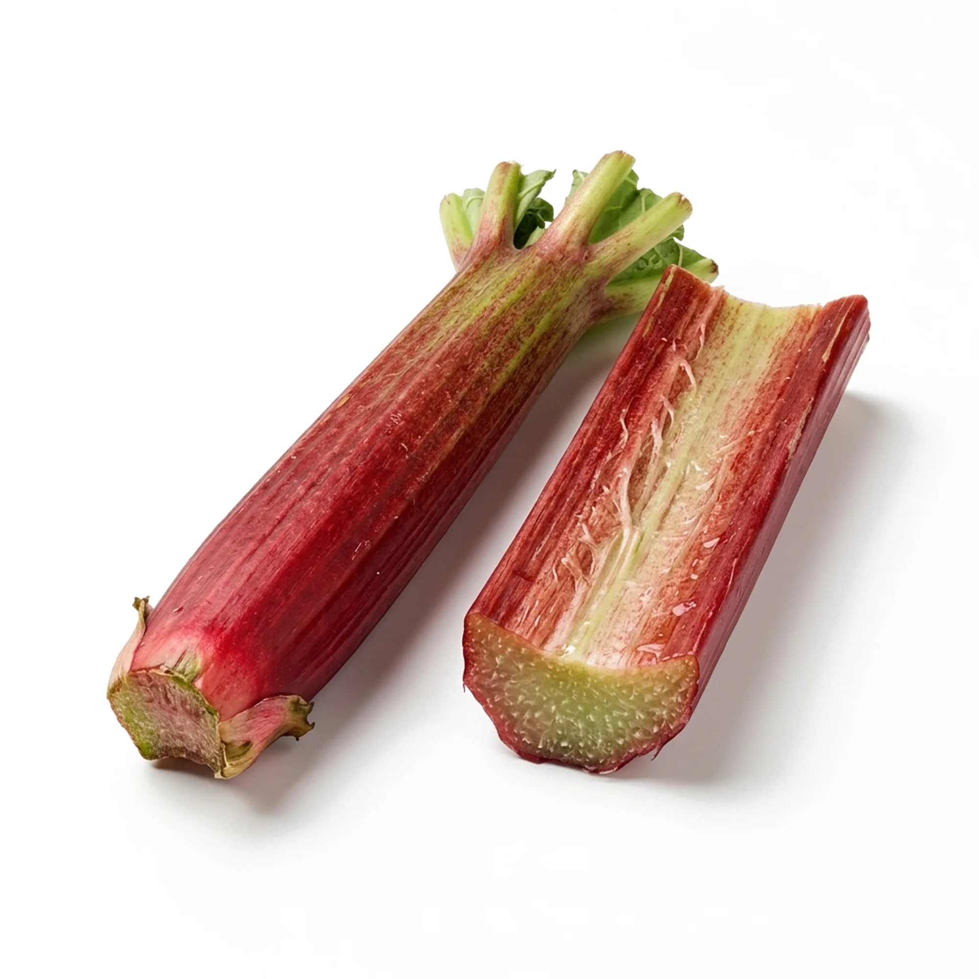 Rhubarbe entier et coupé sur fond blanc