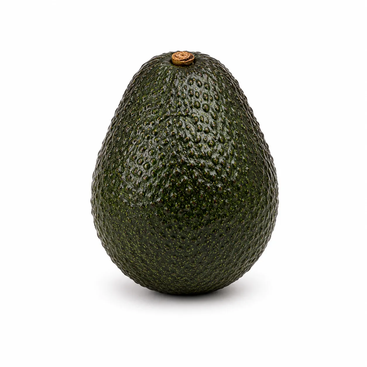 Avocat du catalogue de saison du panier personnalisé