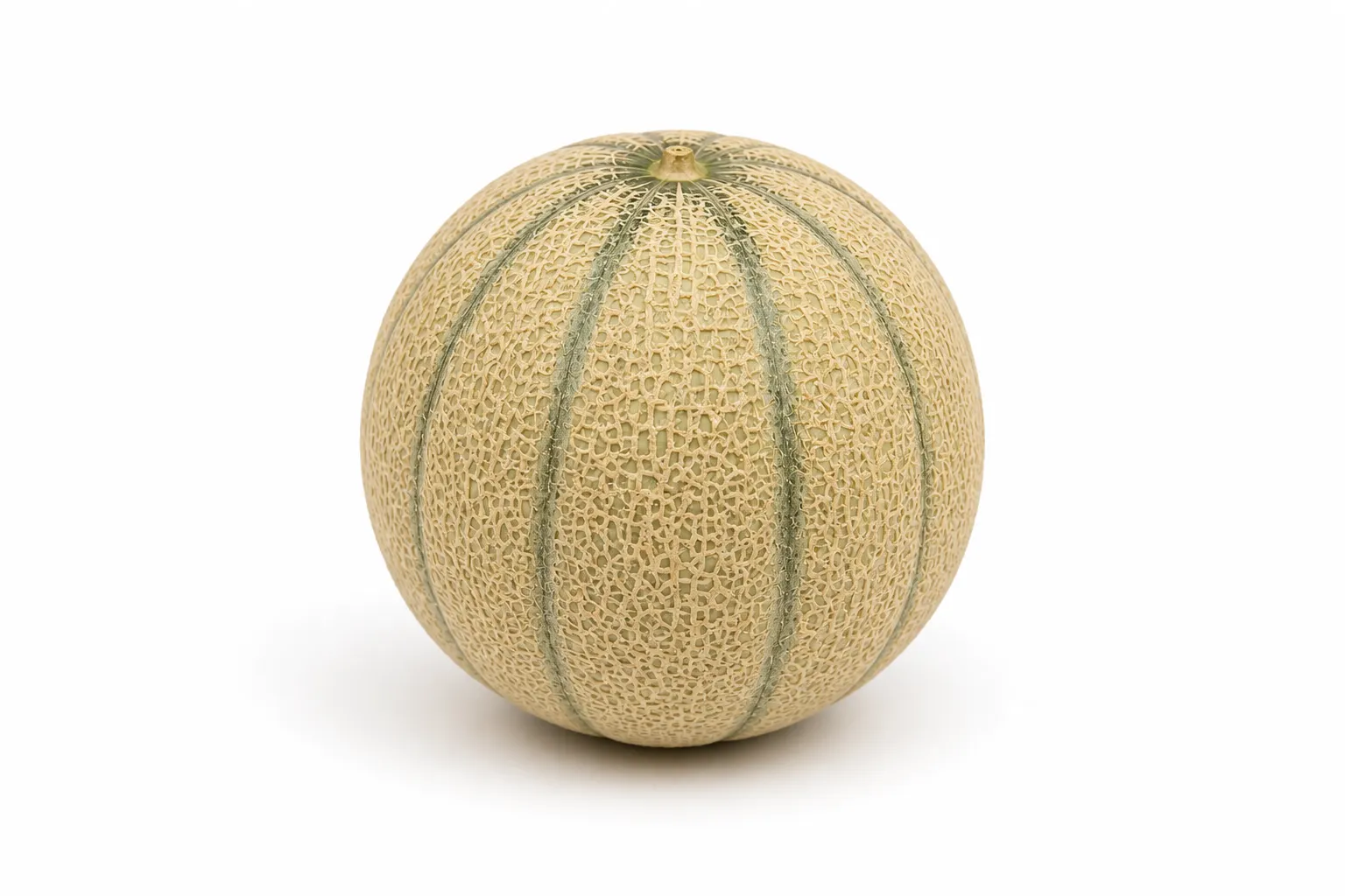 Melon du catalogue de saison du panier personnalisé