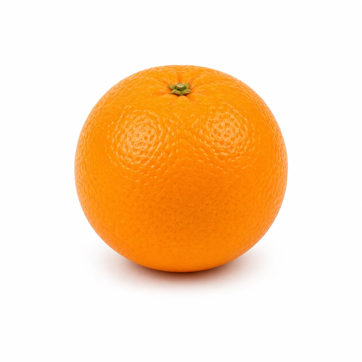 Orange du catalogue de saison du panier personnalisé