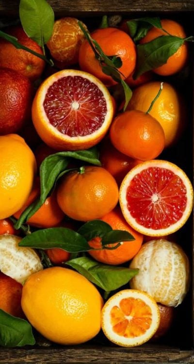 Dora Cavallo Dvuetace8iq Unsplash(1) Dora Cavallo Dvuetace8iq Unsplash(1)